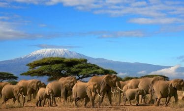 Amboseli